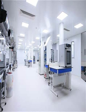 新密XM42566职称评定报名管理系统